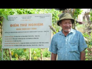 thumbnail-htx-nghia-thanh